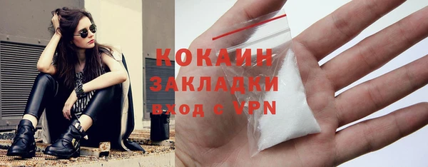 шишки Арсеньев