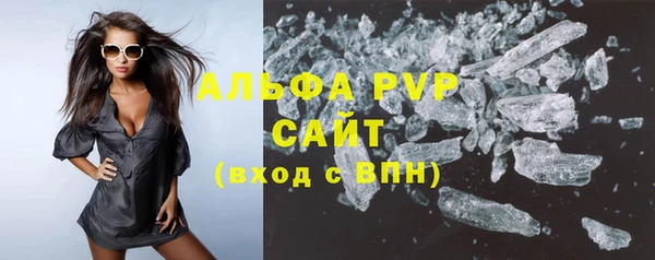 шишки Арсеньев