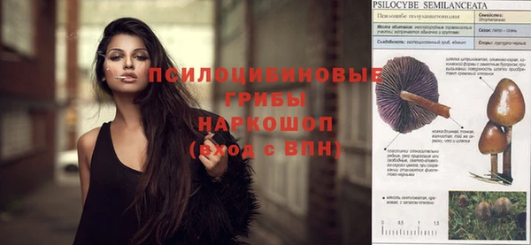 ешки Аркадак