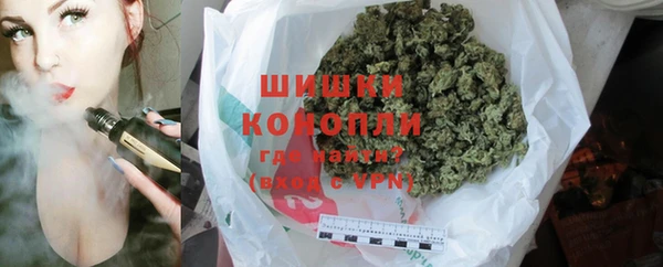 ешки Аркадак