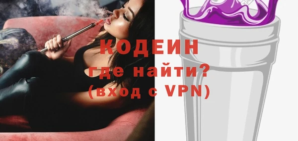 шишки Арсеньев