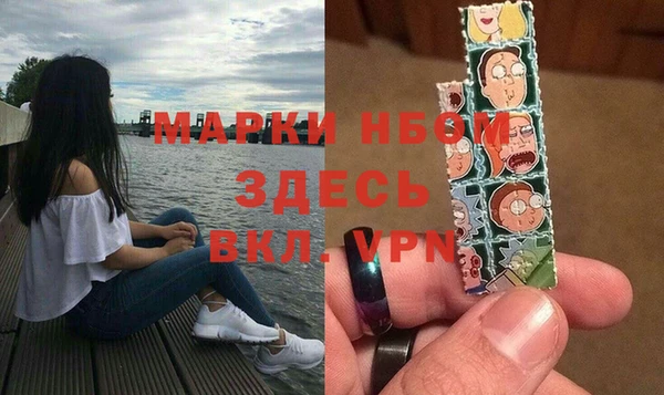 шишки Арсеньев
