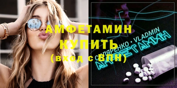 шишки Арсеньев
