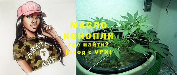 шишки Арсеньев