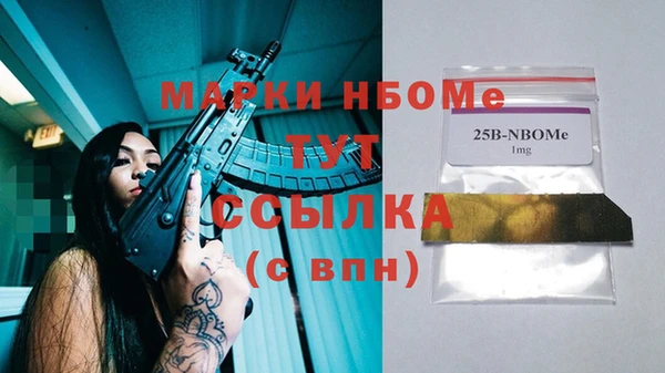 шишки Арсеньев