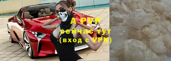 ешки Аркадак