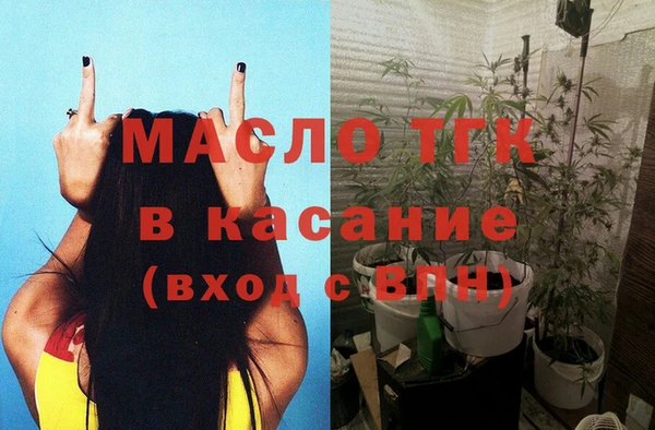 шишки Арсеньев