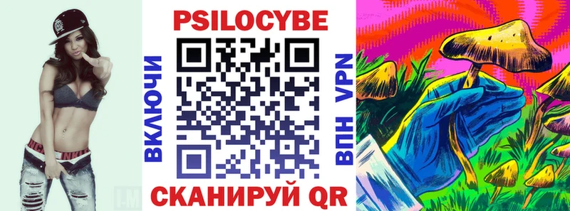 Псилоцибиновые грибы Psilocybe  ОМГ ОМГ ссылка  Мышкин  купить наркотики цена 