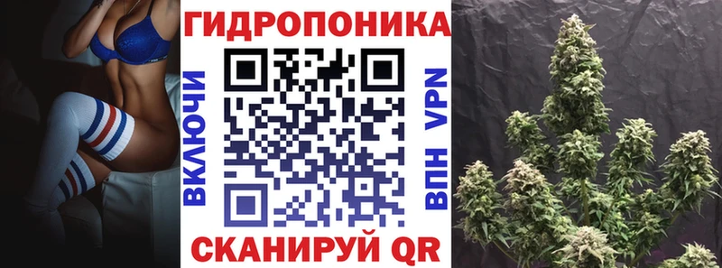 МАРИХУАНА ГИДРОПОН  Мышкин 